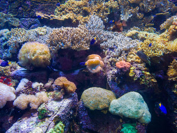 underwater