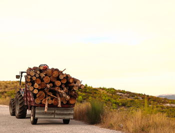 Stack of logs on field against sky