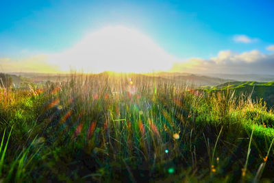 Scenic view of land against sky