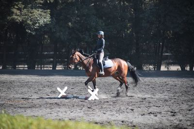 Mature woman riding horse on field