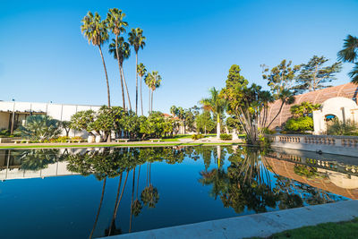 Reflection of palm trees in swimming pool against blue sky