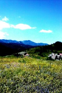 mountain
