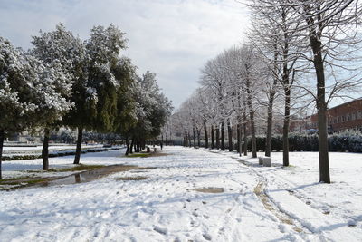 Trees on snow covered field against sky