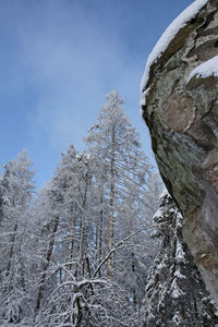 Low angle view of snowcapped mountain against sky