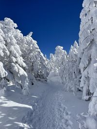 Scenic view of snow covered landscape