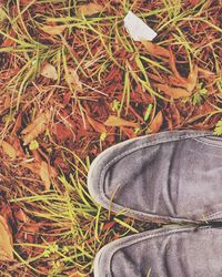 Low section of shoes on grass