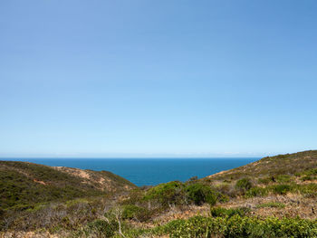 Scenic view of sea against clear blue sky