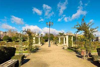 Footpath amidst trees against sky