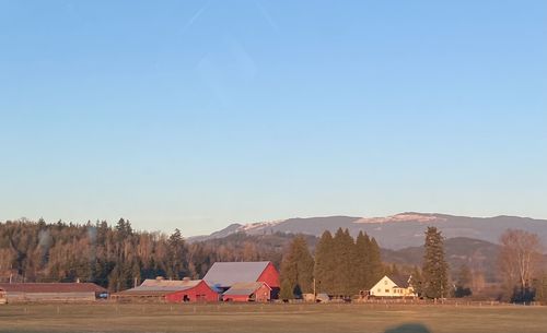 Scenic view of field against clear sky