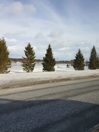 Road by trees against sky during winter