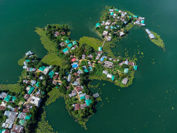 High angle view of tree by sea against buildings