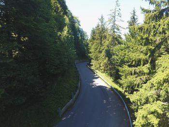 Road amidst trees in forest against sky