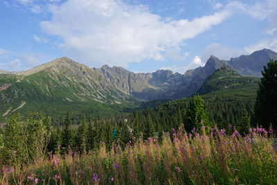 Scenic view of mountains against sky