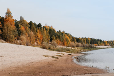 Beautiful autumn season riverside. yellow and orange forest trees and river bank in siberia. 