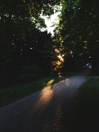 Road amidst trees against sky at night