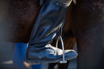 Military boot in stirrup against the horse's belly.