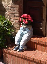 Person holding flower pot against wall