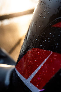 Close-up of wet red car