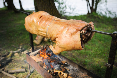 Pork roasting on fire in yard