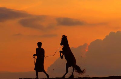 Silhouette man walking with horse rearing up against orange sky
