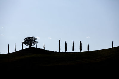 Silhouette trees on field against clear sky