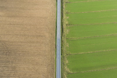 Aerial view of a straight road with cultivated fields in the sides of tuscany italy