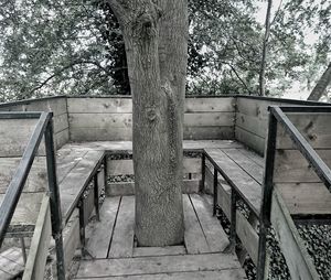Staircase by tree