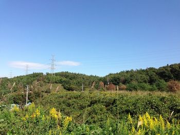 Scenic view of field against clear blue sky