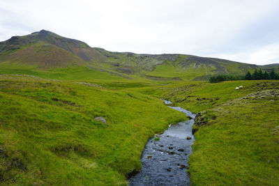 Scenic view of landscape against sky