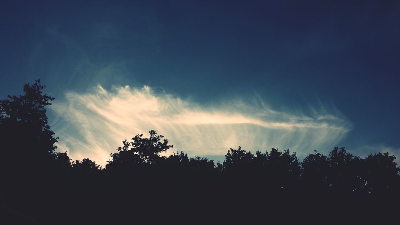 tree, silhouette, sky, tranquility, tranquil scene, scenics, beauty in nature, nature, low angle view, cloud - sky, idyllic, growth, sunlight, cloud, sunbeam, outdoors, blue, no people, sunset, landscape