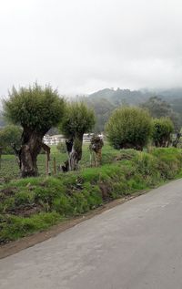 Road by trees on field against sky