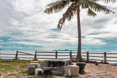 Palm trees on beach against sky