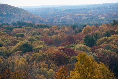 Scenic view of mountains