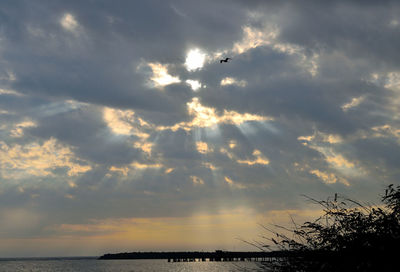 Silhouette birds flying over sea against sky during sunset