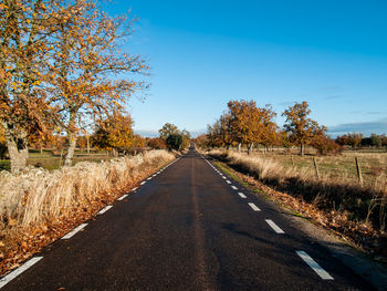 Road amidst trees on field against clear sky