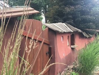 Plants and abandoned house by building