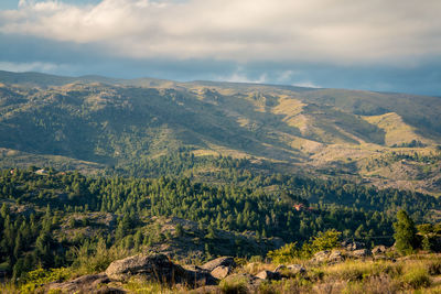 Scenic view of landscape against sky