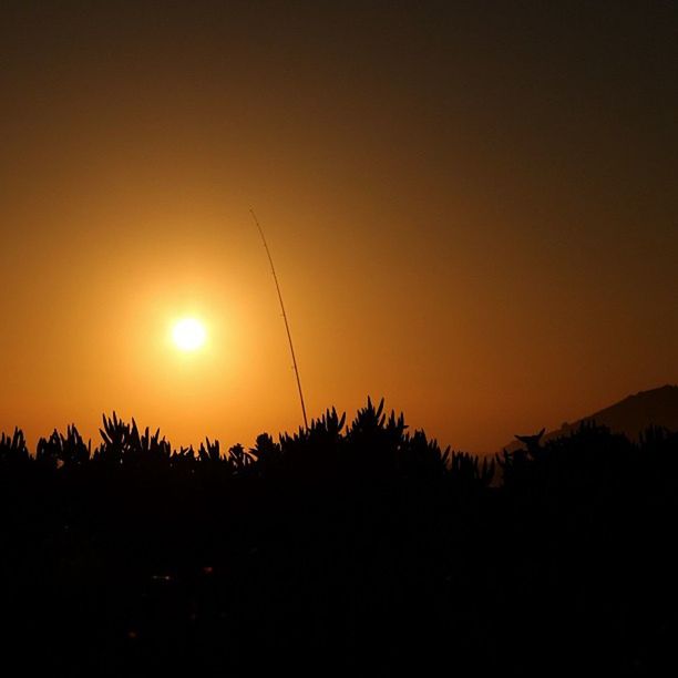 sunset, silhouette, tranquil scene, tranquility, scenics, beauty in nature, sun, copy space, nature, orange color, clear sky, idyllic, sky, plant, landscape, tree, dark, growth, outdoors, outline