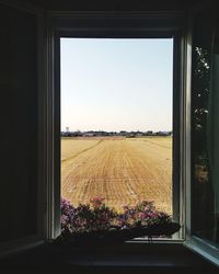 Scenic view of field seen through window
