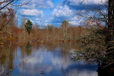 Scenic view of lake against sky
