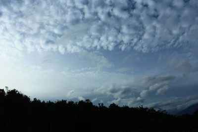 Low angle view of silhouette trees against sky