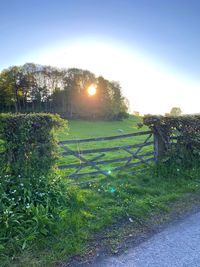 Scenic view of field against clear sky