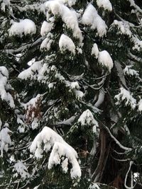 High angle view of snow covered landscape