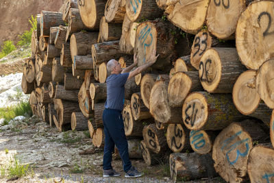 Stacks of cut wood. deforestation forest and illegal logging. wood logs, timber logging. 