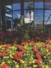 Close-up of plants in greenhouse