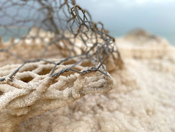 Close-up of rope on beach against sky during winter