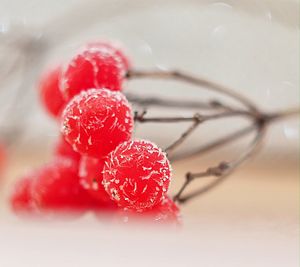 Close-up of strawberry on water