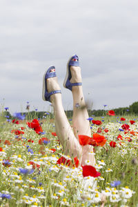 Female legs stick out from the field of multicolored flowers, explosion of color