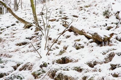 High angle view of snow covered field