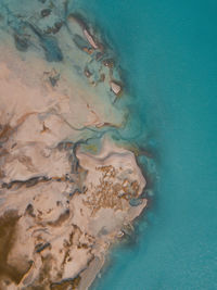 Coastal landscape in patagonia.